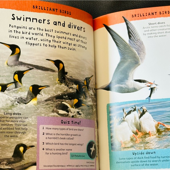 Miles Kelly Junior Encyclopedia - Picture 7 of 12